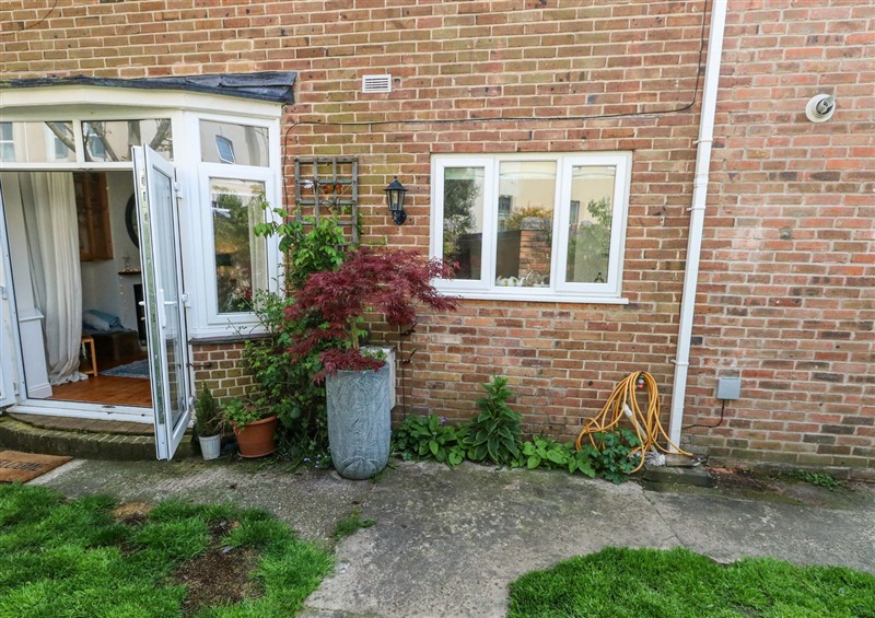 This is the garden at The Nook, Weymouth