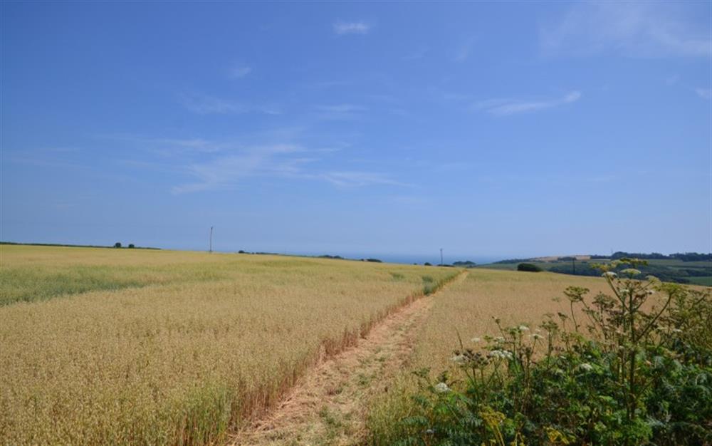 Stunning walks near the barn with views out to sea at The Oaks in Chillington