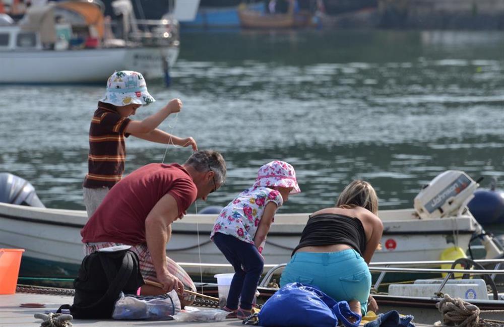 Crabbing in Dittisham at The Old Bakehouse, Dittisham