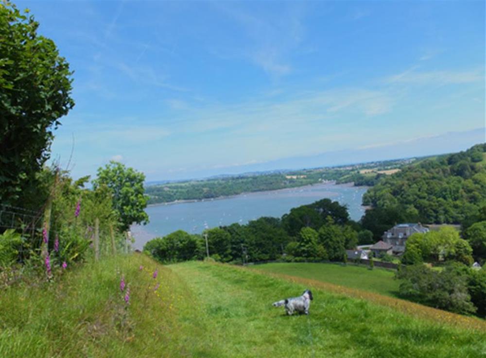 Dittisham offers fabulous walking opportunity with amazing views at The Old Bakehouse, Dittisham