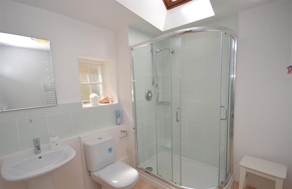The modern ground floor shower room at The Old Bakehouse, Dittisham