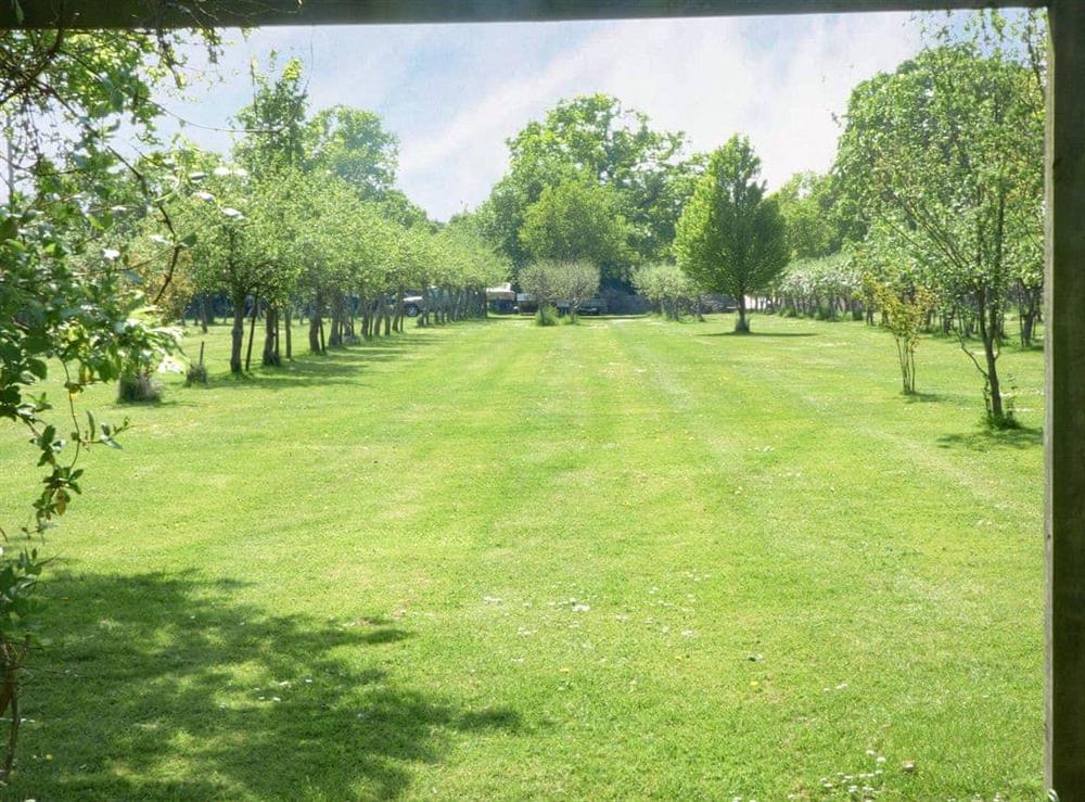 Extensive lawned grounds with orchard planting