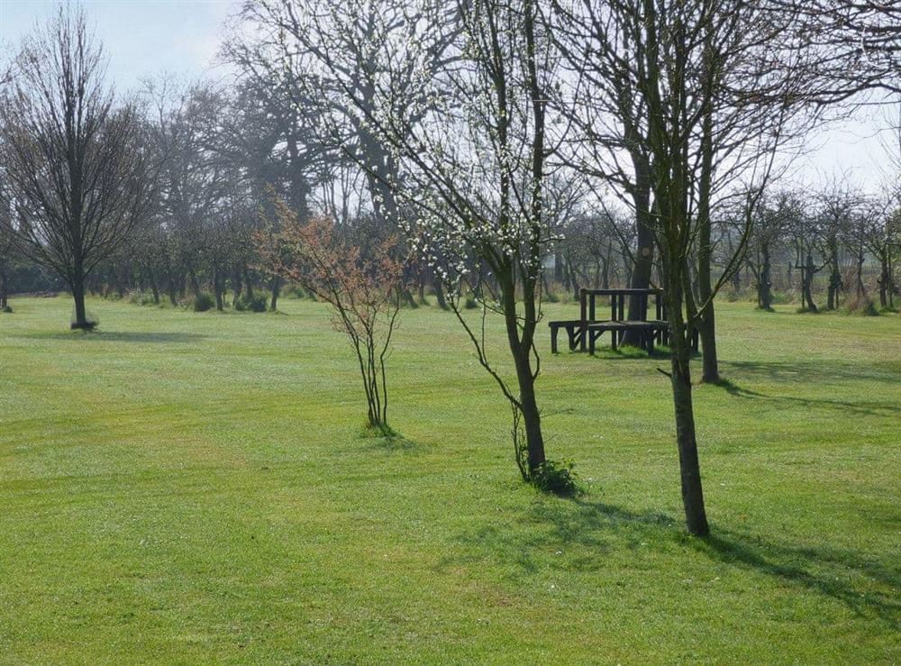 Extensive lawned grounds with orchard planting
