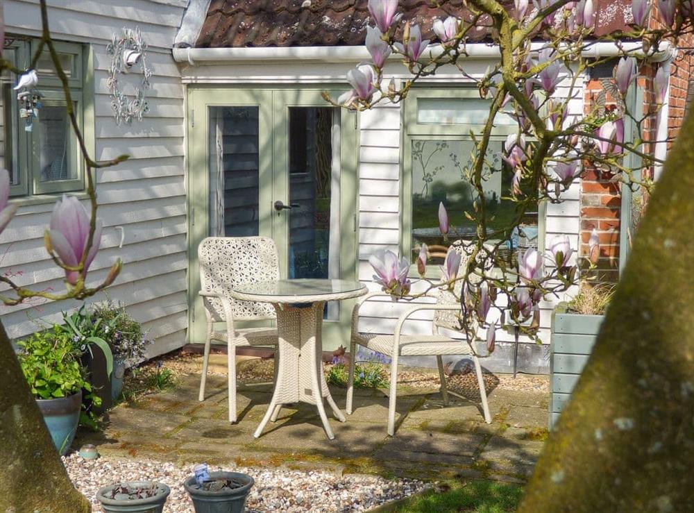 Lovely sitting out area in the dappled shade of the magnolia tree at The Old Bakery in Langham, near Colchester, Essex