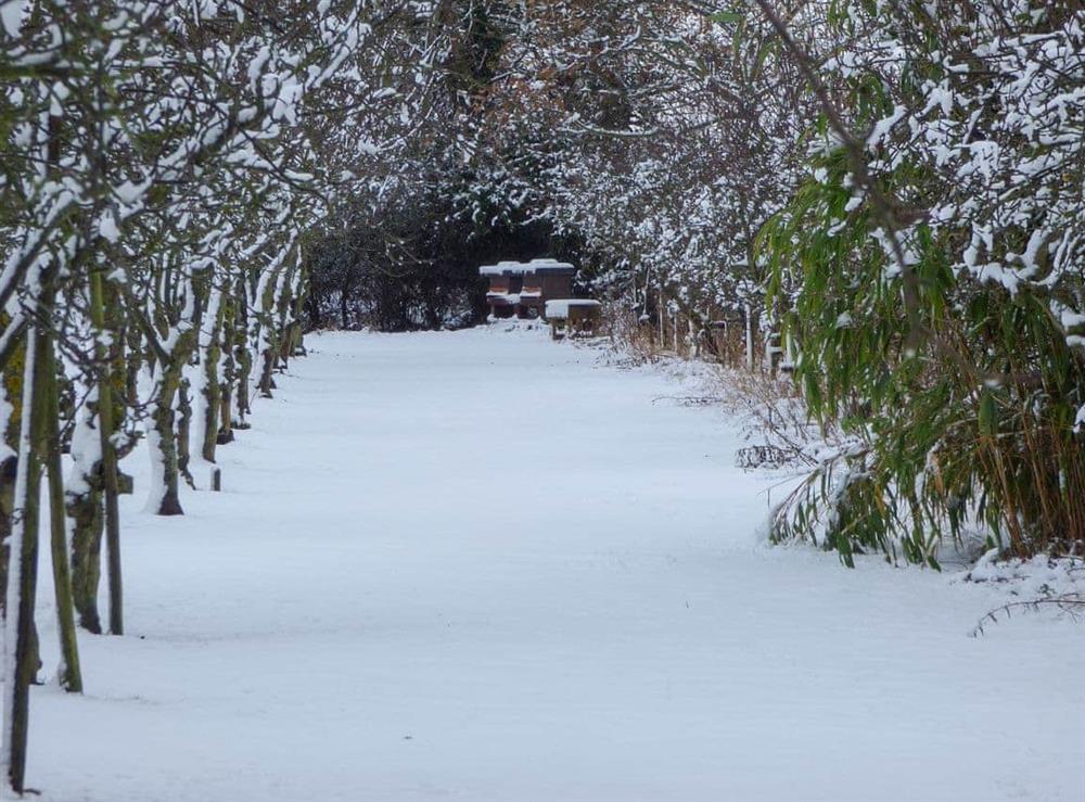 The garden in winter at The Old Bakery in Langham, near Colchester, Essex