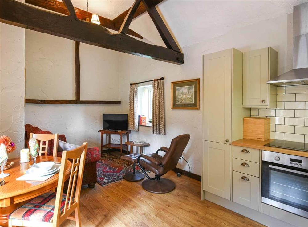 Open plan living space at The Old Barn in Church Stretton, Shropshire