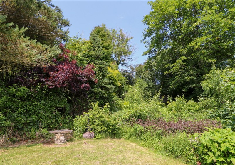 The garden (photo 2) at The Old Barn, Ciliau Aeron near Aberaeron
