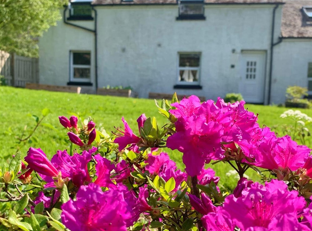 Exterior at The Old Barn in Colintraive, near Tighnabruaich, Argyll