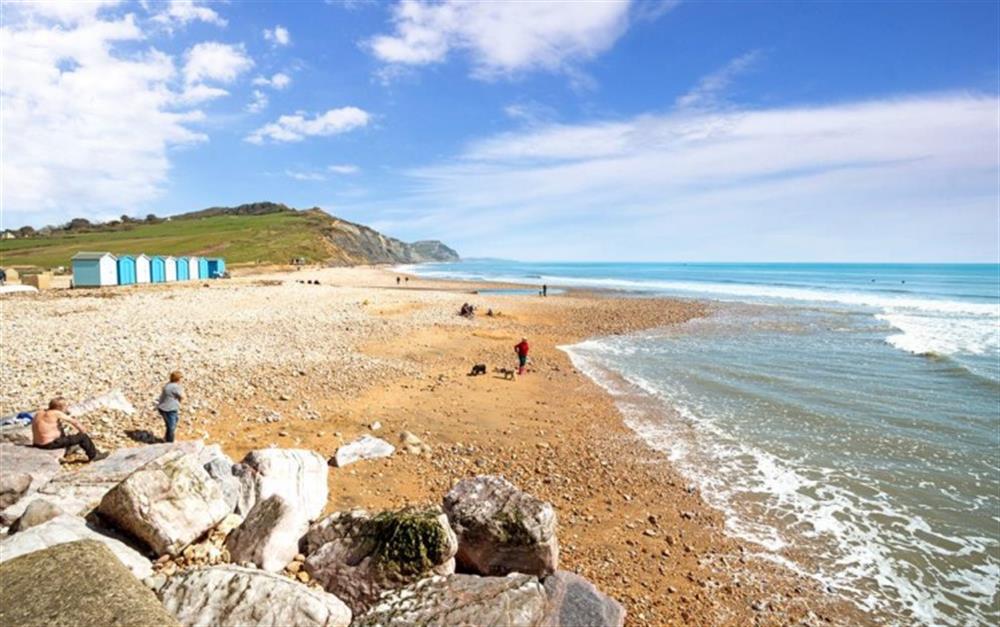 The beach at Charmouth at The Old Chapel, Churchill in Axminster