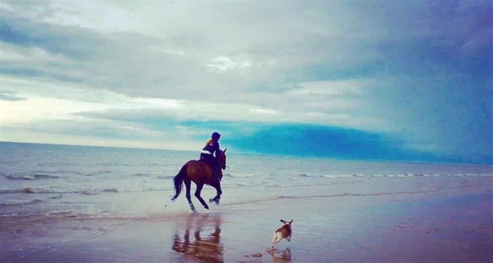 Holkham Beach at The Old Chapel, Pentney near Kings Lynn