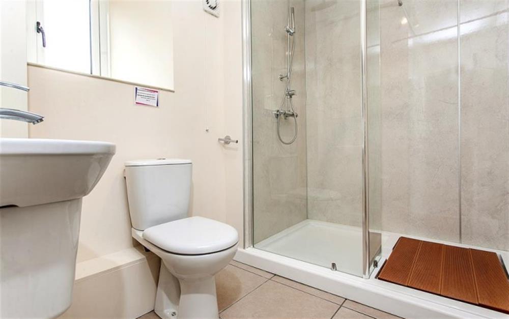 Ground floor shower and WC at The Old Cider House in Sherborne