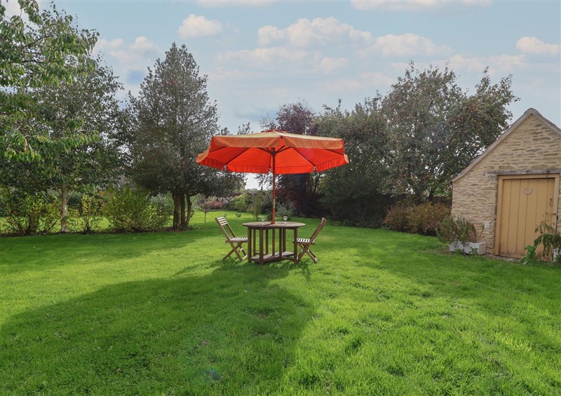 This is the garden at The Old Dairy, Nettleton