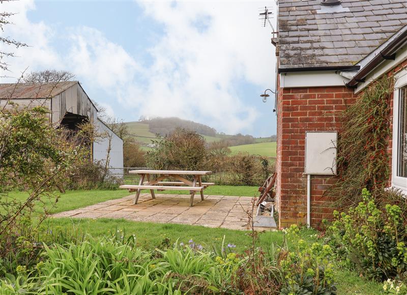 The setting (photo 2) at The Old Dairy, Whitchurch Canonicorum near Charmouth