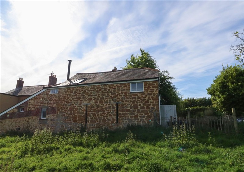 Enjoy the garden at The Old Flax Shop, Bridport