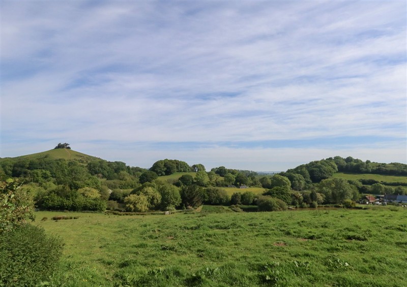 This is the garden at The Old Flax Shop, Bridport
