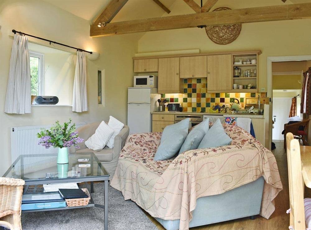 Cosily renovated open plan living space at The Old Forge in Lower Wraxall, Nr Dorchester., Dorset