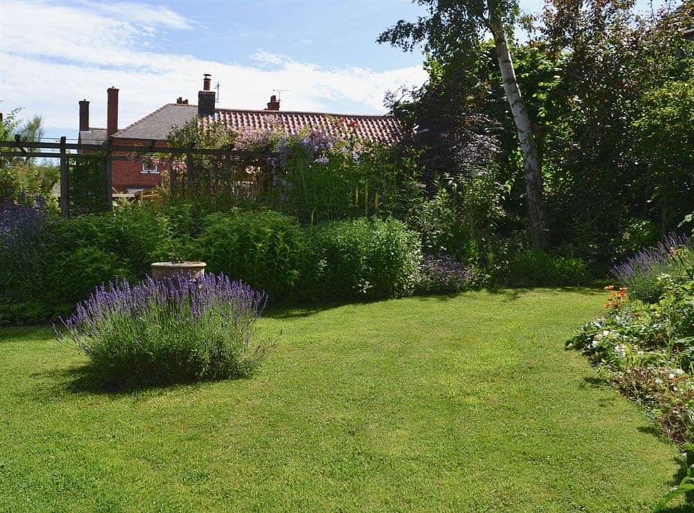 Garden at The Old Forge in Saxilby, near Lincoln, Lincolnshire