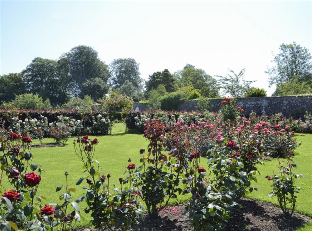 ’Secret’ rose garden within extensive shared gardens (photo 2) at The Old Gas Works Building in Montrose, Angus