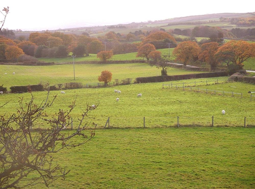 A photo of The Old Granary Cottage