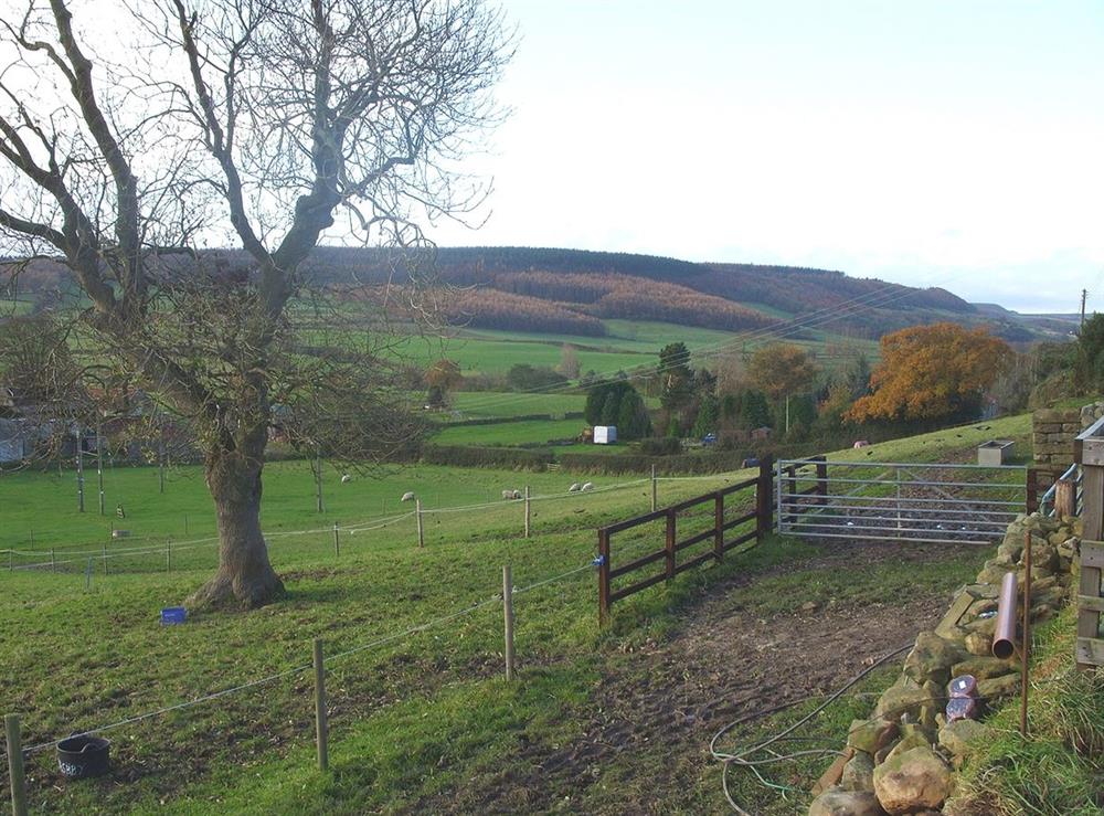 A photo of The Old Granary Cottage