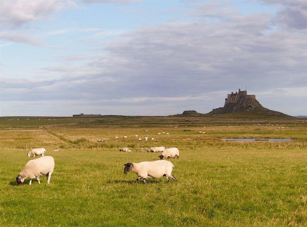 Lindisfarne Castle and surrounding countryside at The Old Granary in Holy Island, near Berwick-upon-Tweed, Northumberland