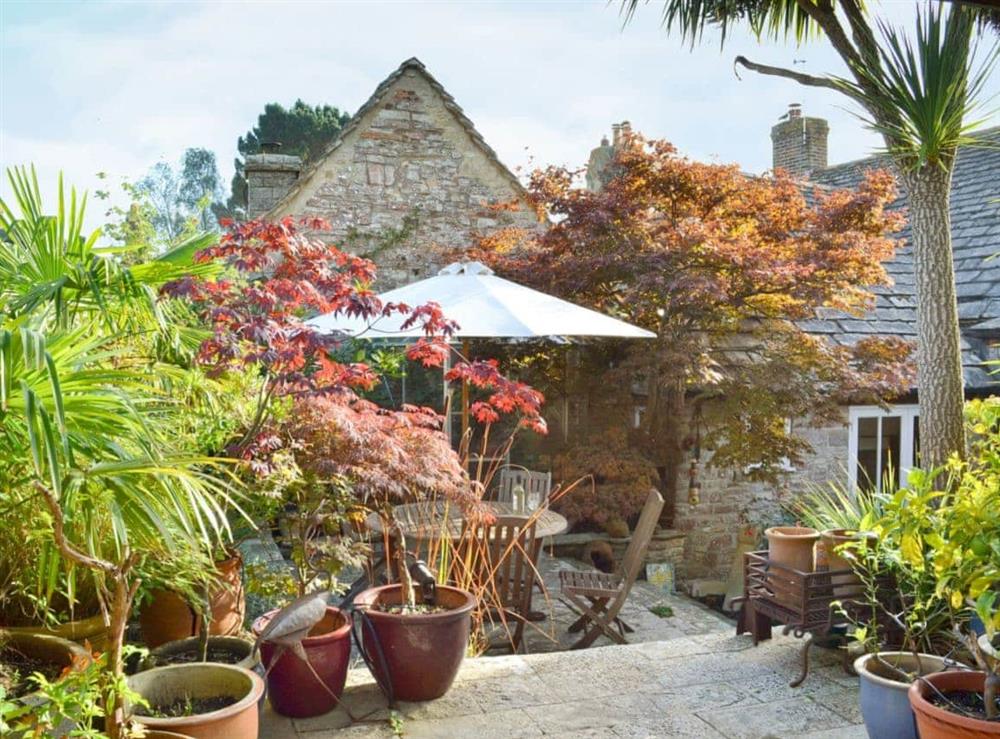 Garden and grounds at The Old Guildhall in Corfe Castle, Dorset