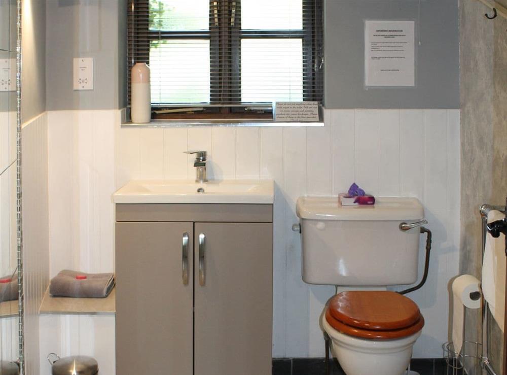 Shower room (photo 2) at The Old Hall Coach House in Tacolneston, near Wymondham, Norfolk