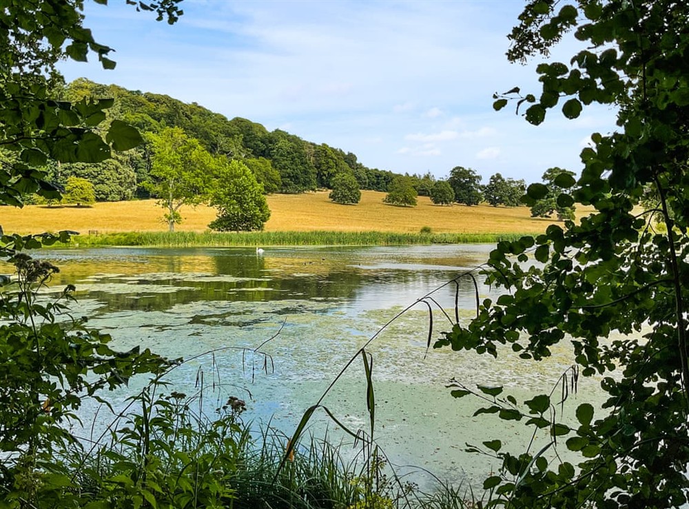 Surrounding area (photo 2) at The Old Lodge in Tisbury, Wiltshire