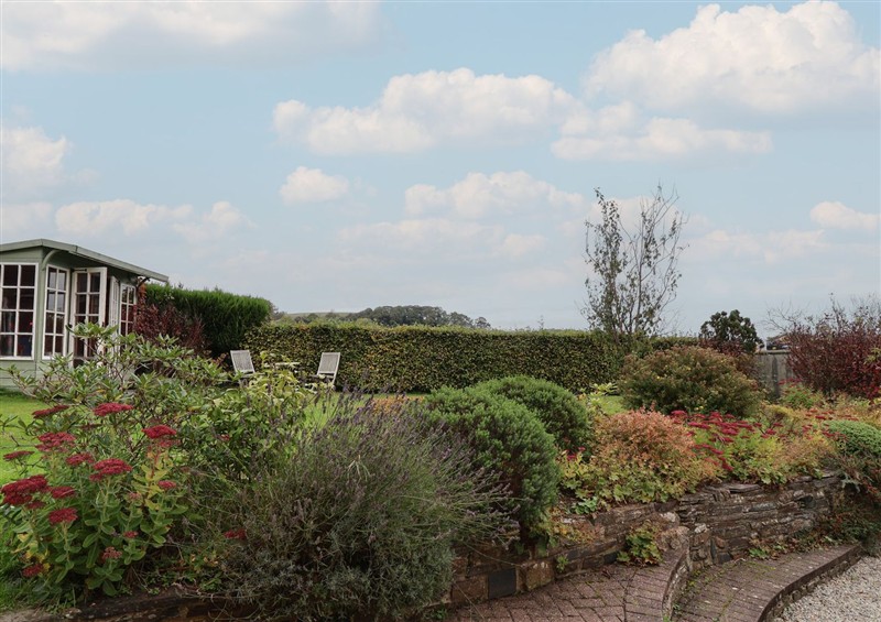The garden (photo 3) at The Old Manor House, Lifton