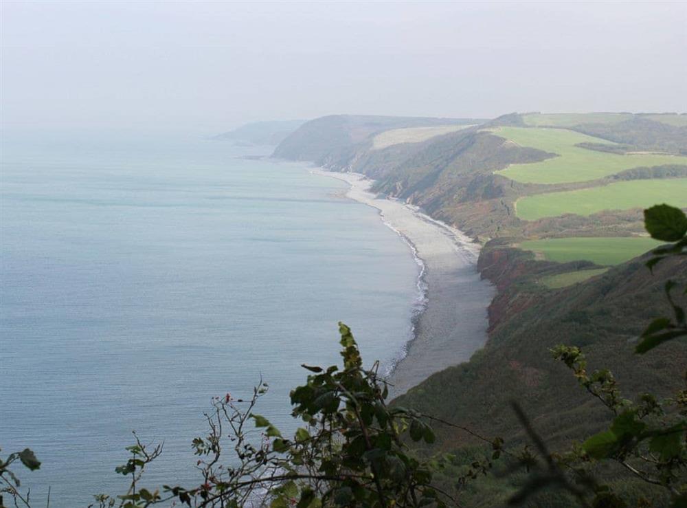Peppercombe Bay from woodland walk