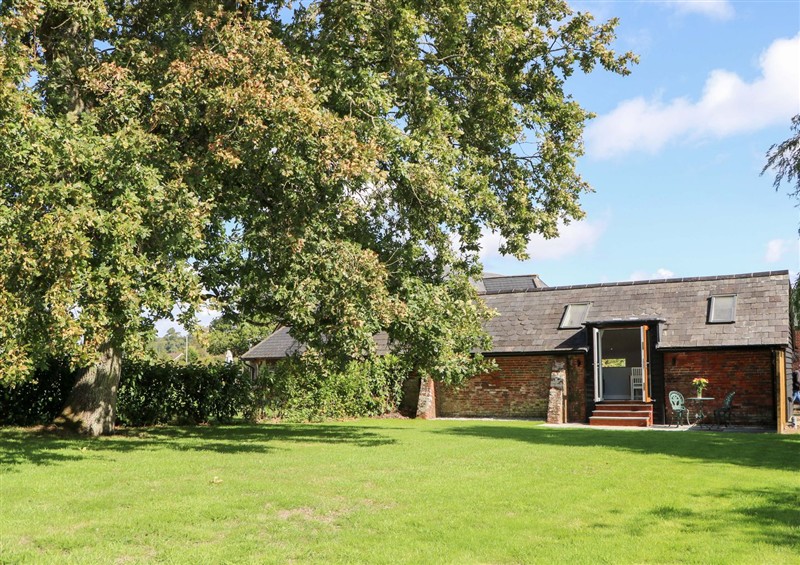 Enjoy the garden at The Old Parlour, Durley