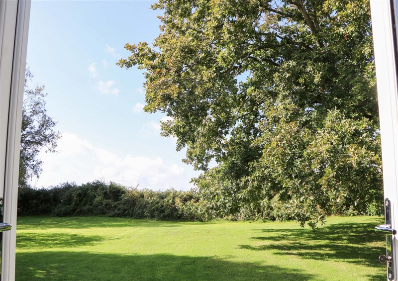 Outside at The Old Parlour, Durley