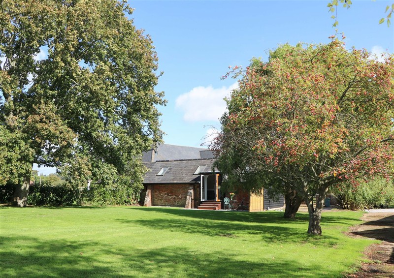 The garden in The Old Parlour at The Old Parlour, Durley