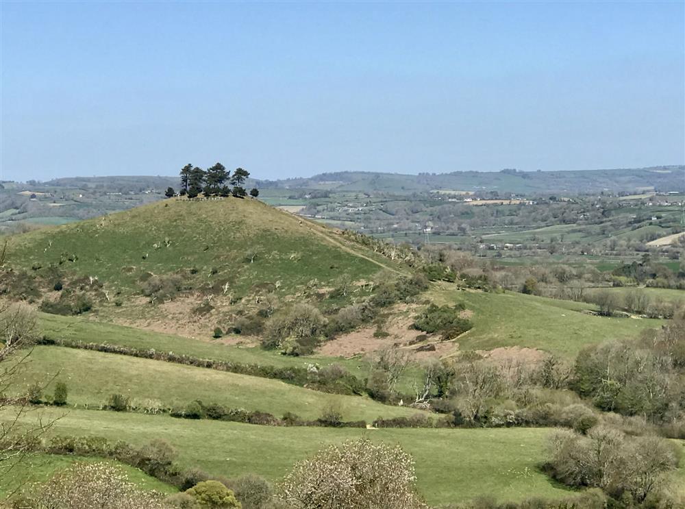 Colmers Hill is a popular local landmark and worth the short climb at The Old Piggeries, Burton Bradstock, Bridport