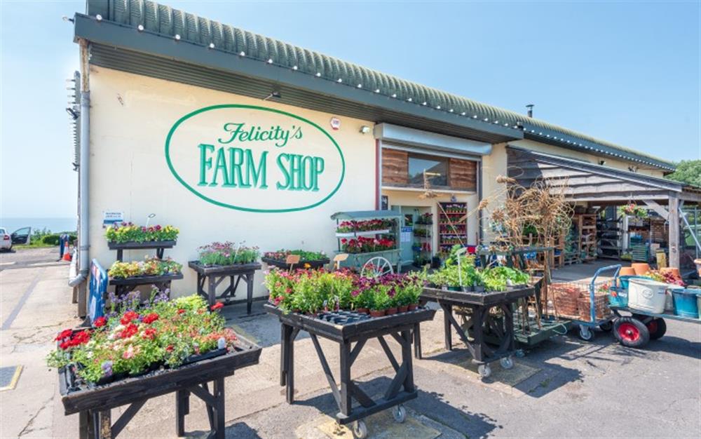 Felicity's Farm Shop at The Old Post Office in Morcombelake