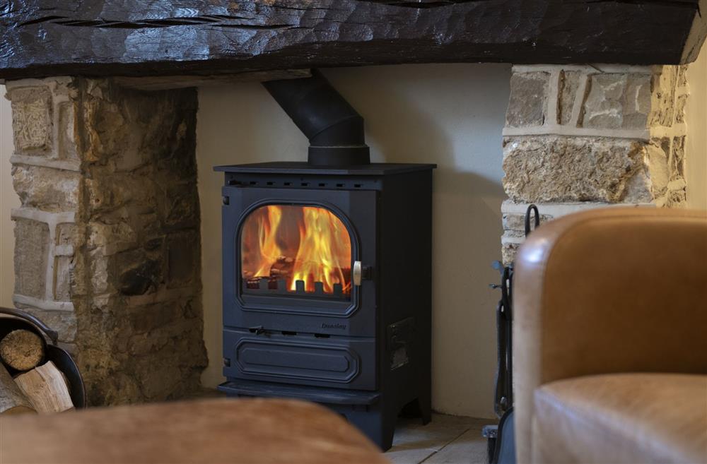The wood burning stove in the sitting room is perfect for the cooler months at The Old Potting Shed, Kirkbymoorside, York, North Yorkshire
