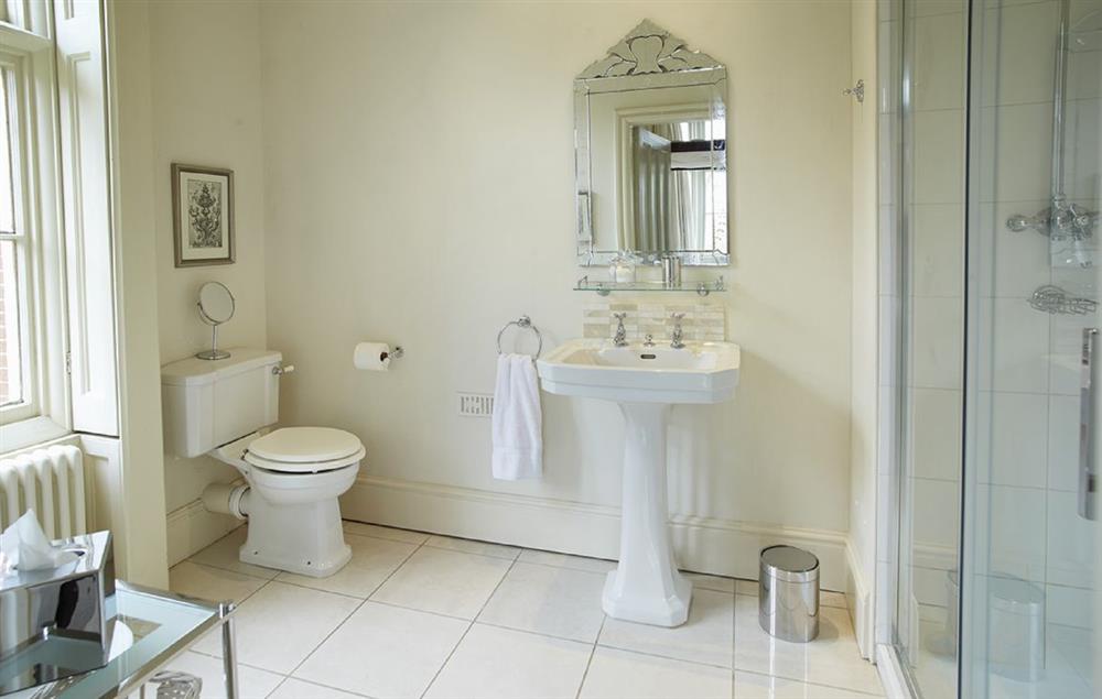 En-suite shower room with walk-in shower and wc at The Old Rectory and Coach House, North Tuddenham