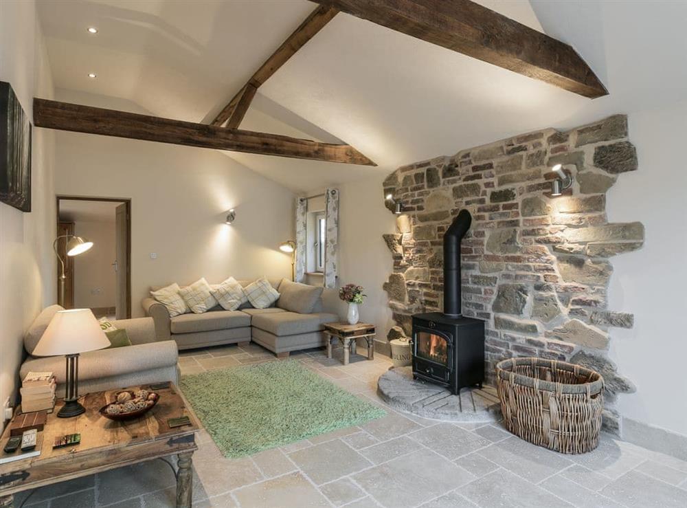 Cosy living room with wood burner at The Old Rectory Cottage in Tothill, near Louth, Lincolnshire