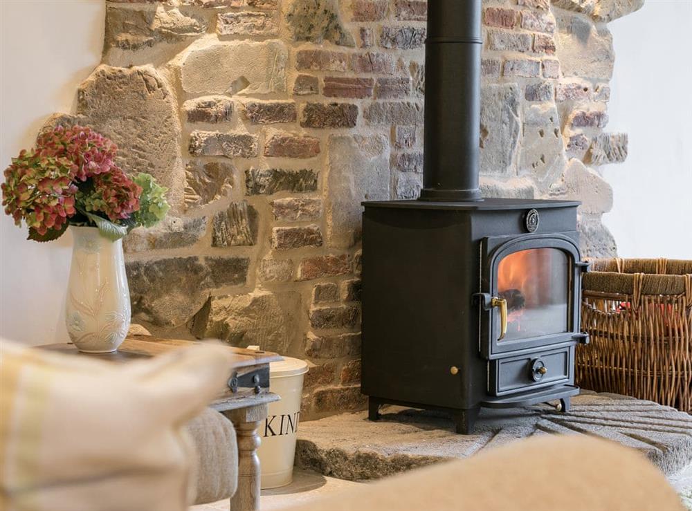 Wood burner at The Old Rectory Cottage in Tothill, near Louth, Lincolnshire