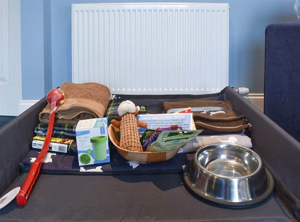 Welcome goodies for your pet at The Old School House Apartment in Tain, Ross-Shire