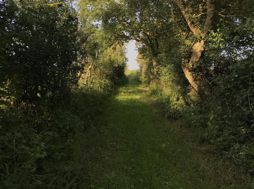 The private medieval footpath