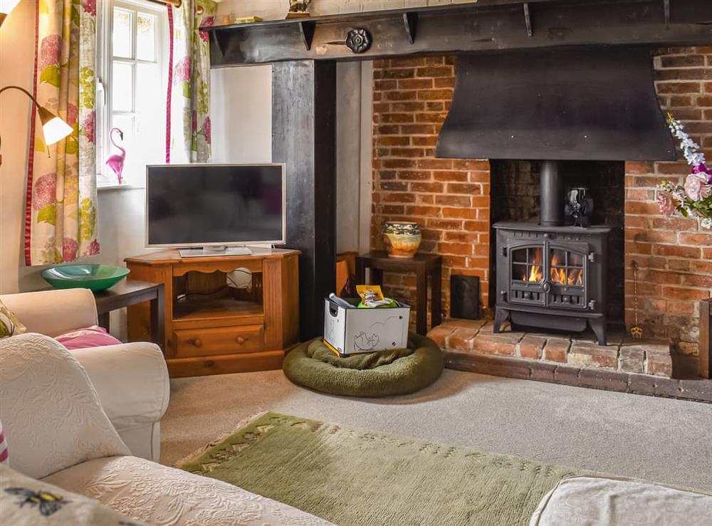 Living room at The Old Thatch in Hailsham, East Sussex