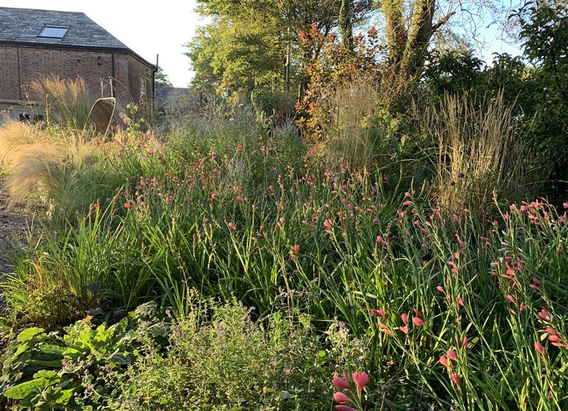 The area around The Old Watermill