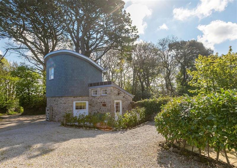 The garden at The Old Well House, St Day