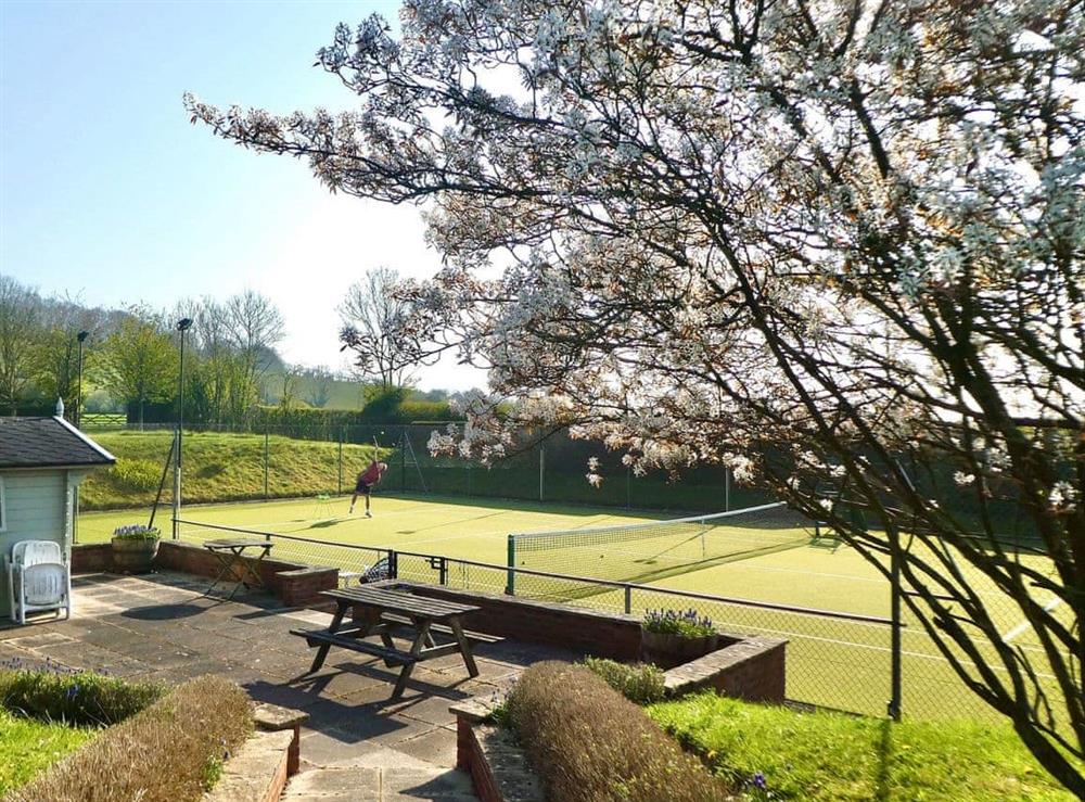 Fabulous recently updated all weather Astro tennis court at The Owl House in Bishops Waltham, Hampshire