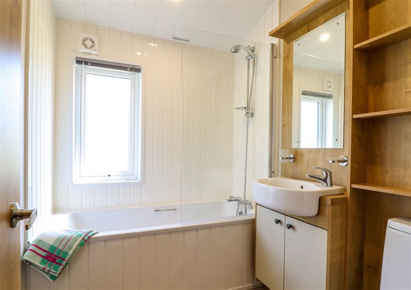 Bathroom (photo 2) at The Owlet, Dolwen near Llanidloes
