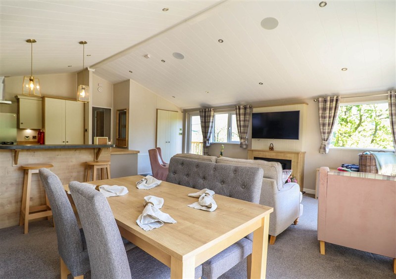 Inside (photo 2) at The Owlet, Dolwen near Llanidloes