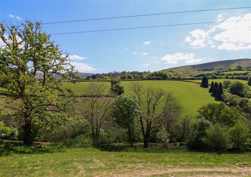 This is the garden at The Owlet, Dolwen near Llanidloes