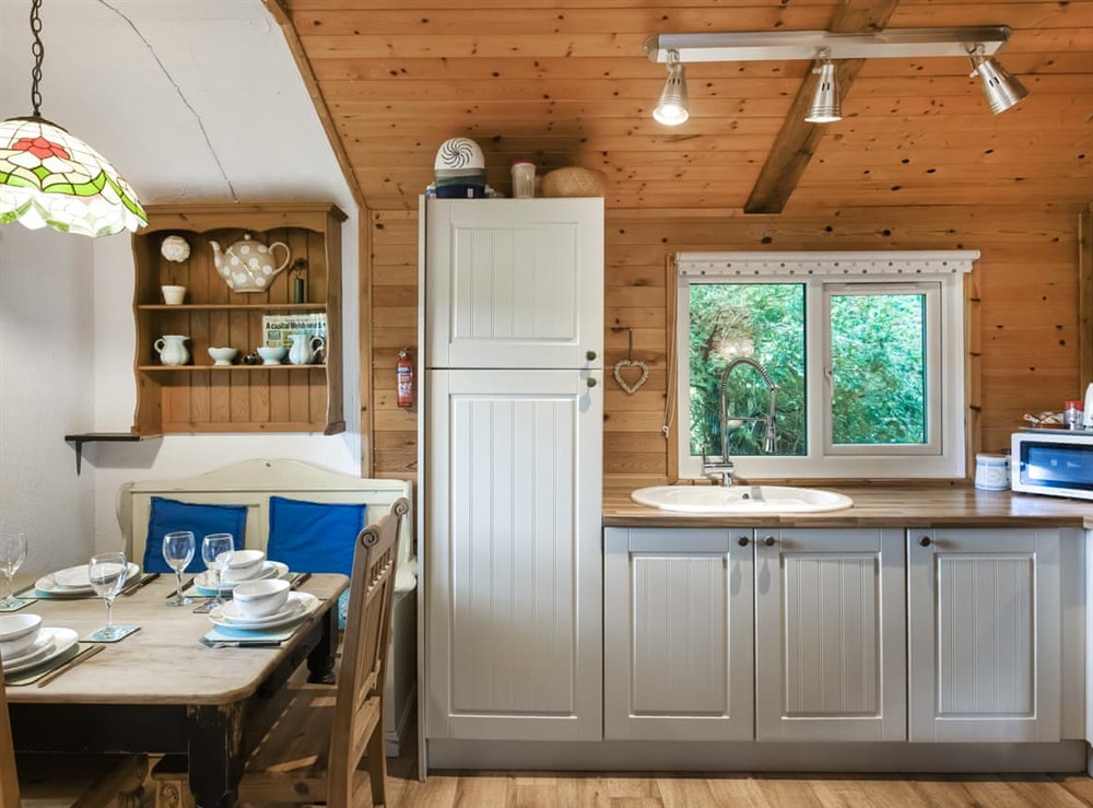 Kitchen/diner at The Owls Nest in Machynlleth, Powys