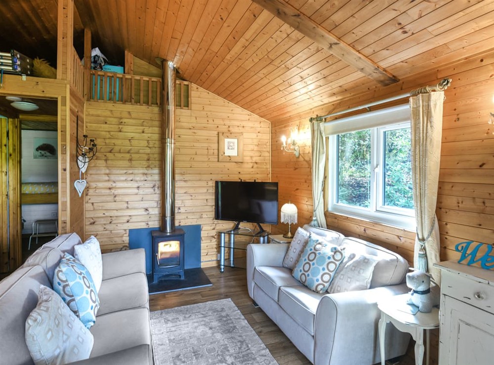 Living area (photo 2) at The Owls Nest in Machynlleth, Powys